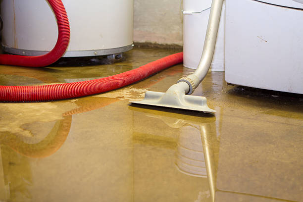 Best Basement water damage restoration  in Dravosburg, PA