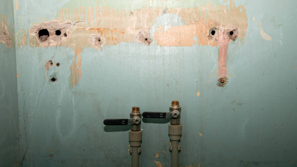 Best Ceiling water damage repair  in Dravosburg, PA