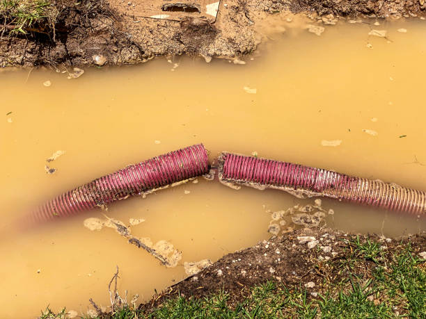 Best 24/7 water damage repair  in Dravosburg, PA