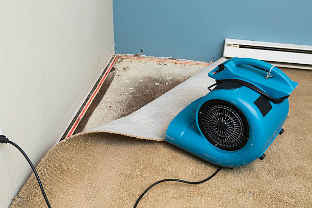 Best Carpet water damage restoration  in Dravosburg, PA